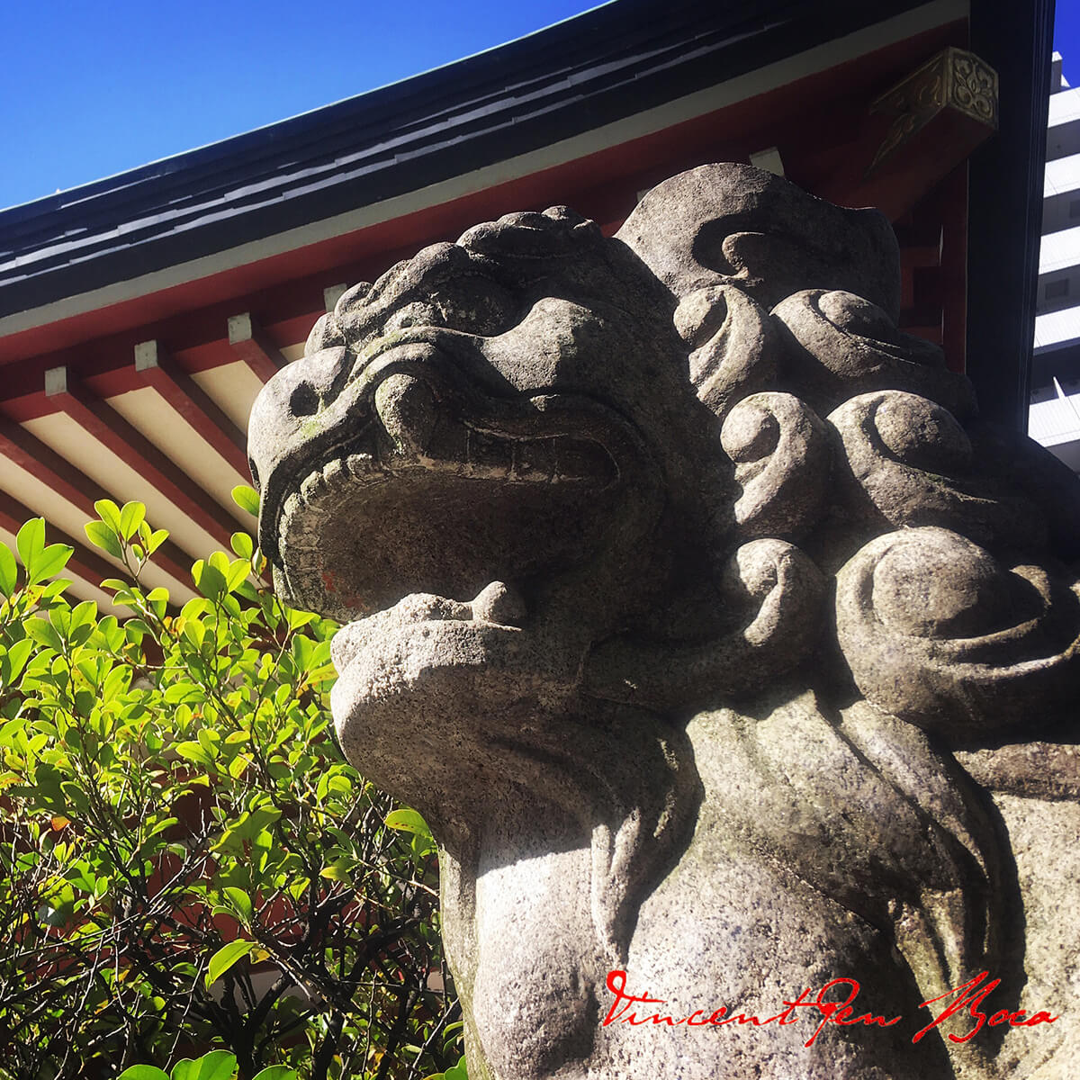 秋葉神社の狛犬